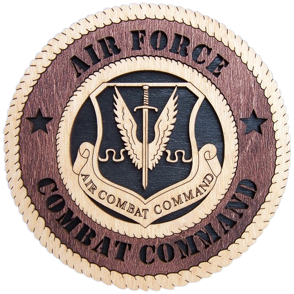Air Force Combat Command